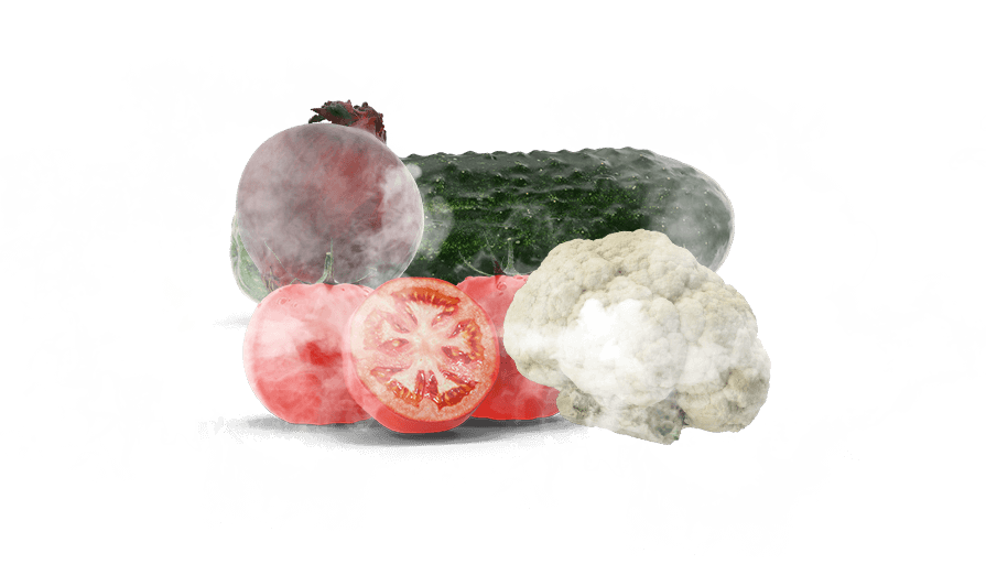Fruits and Vegetables